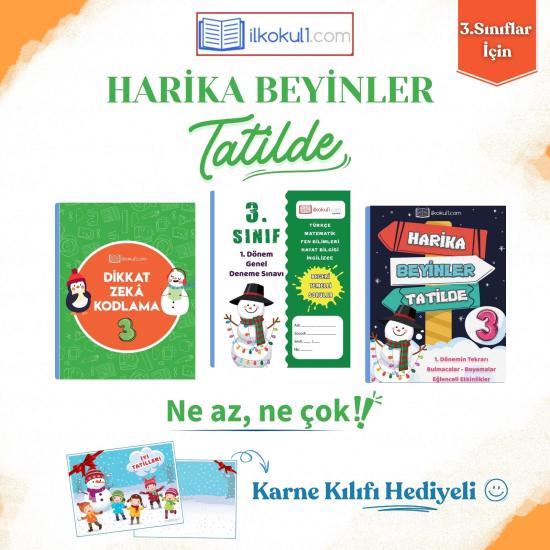 3.sinif harika beyinler tatilde