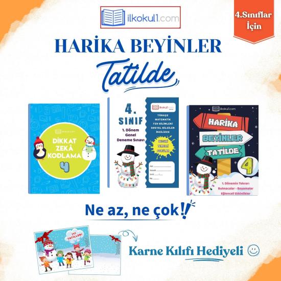 4.sinif harika beyinler tatilde