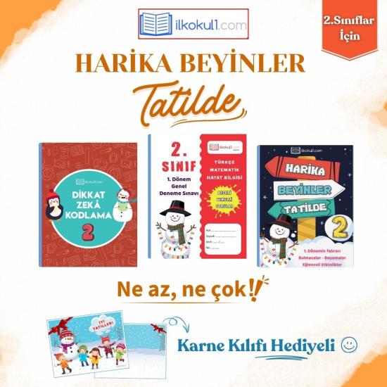 2.sinif harika beyinler tatilde